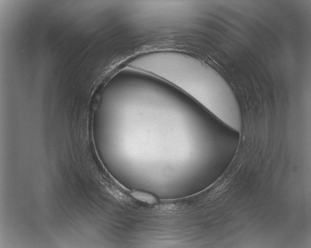 X0000059040301200510070832