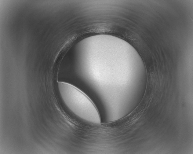 X0000059040304200510070832