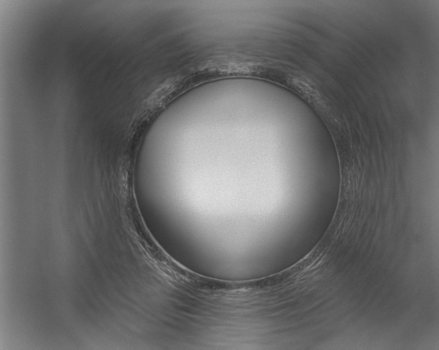X0000059040309200510070832