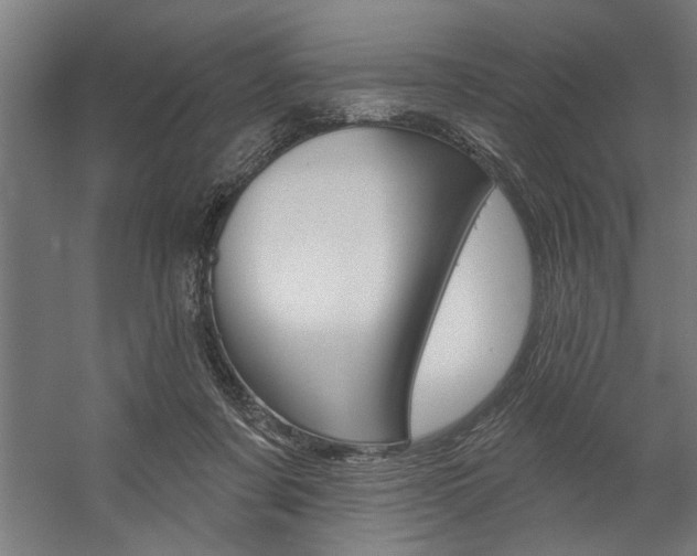 X0000059040311200510070832