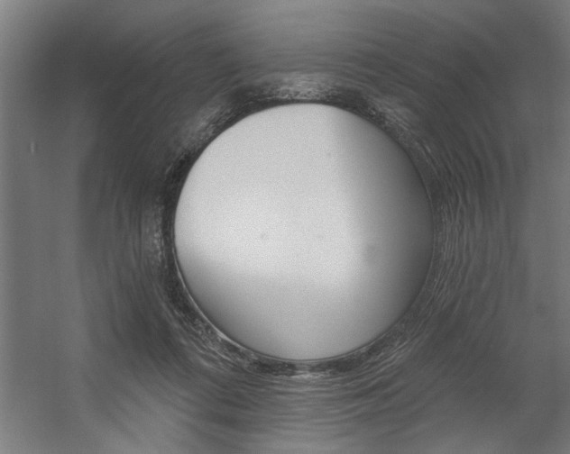 X0000059040312200510070832