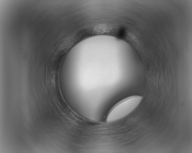 X0000059040315200510070832