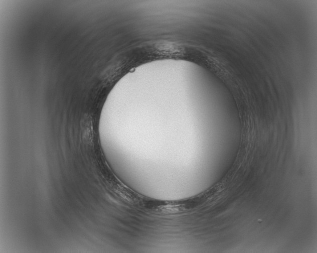 X0000059040320200510070832