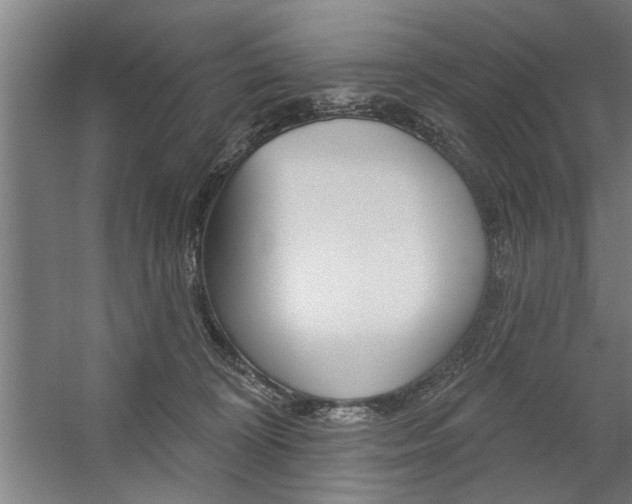 X0000059040324200510070831