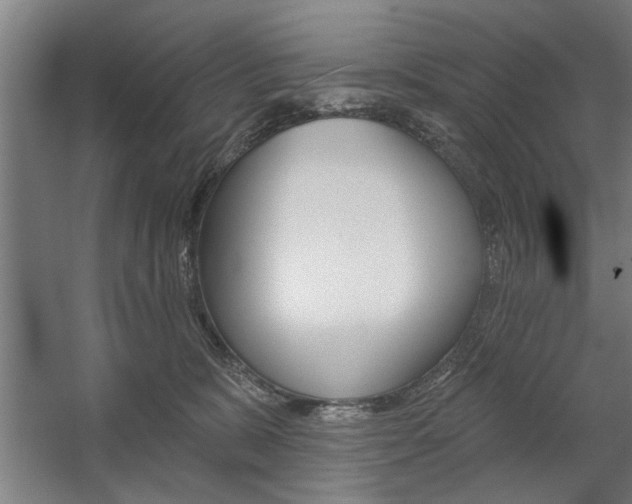 X0000059040327200510070831