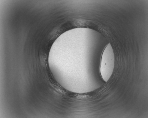X0000059040332200510070831