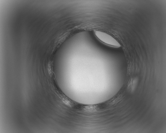 X0000059040335200510070831
