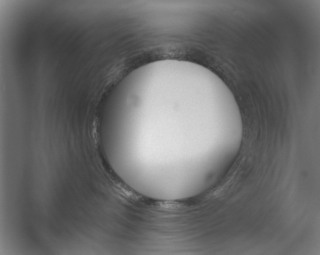X0000059040336200510070831