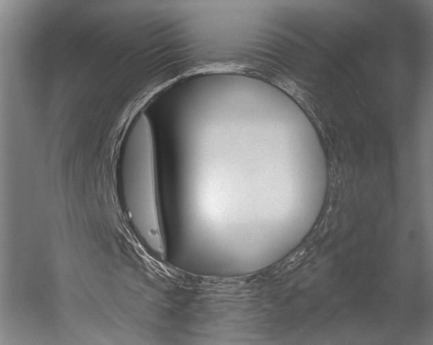X0000059040337200510070830