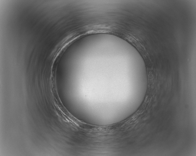 X0000059040338200510070830