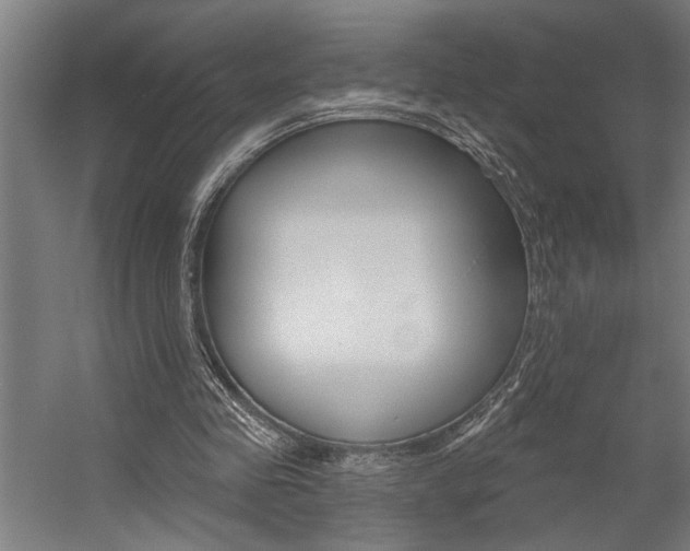 X0000059040341200510070831