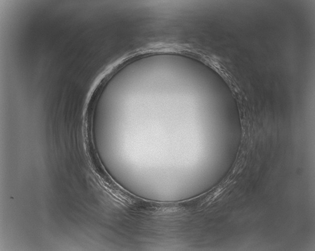 X0000059040342200510070831