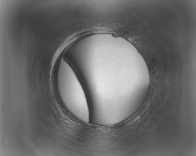 X0000059040343200510070831
