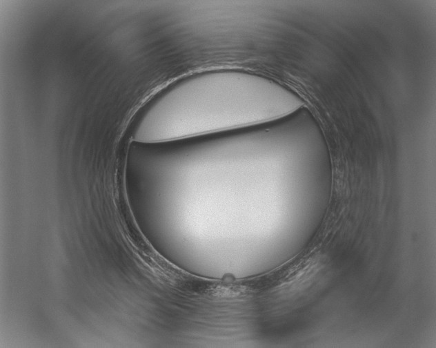 X0000059040346200510070831
