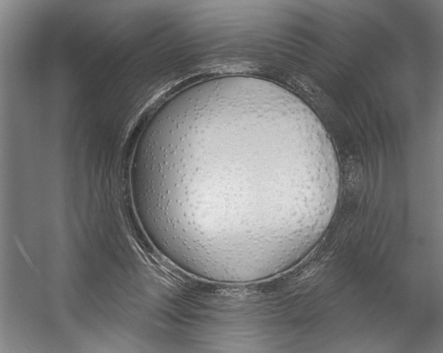 X0000059040351200510070831