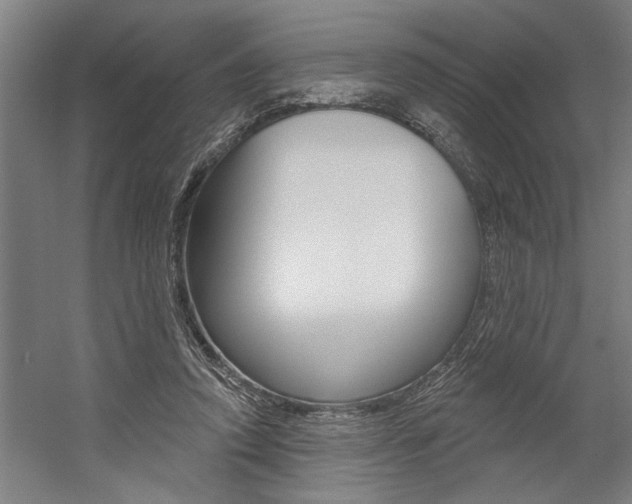 X0000059040354200510070831