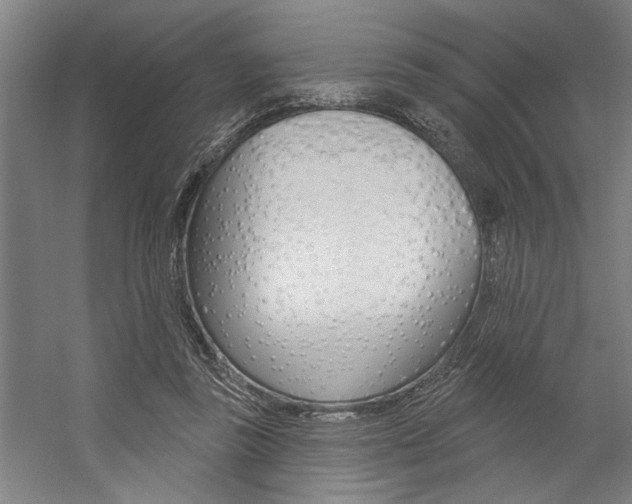 X0000059040355200510070831