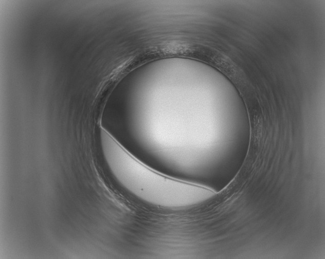X0000059040356200510070831