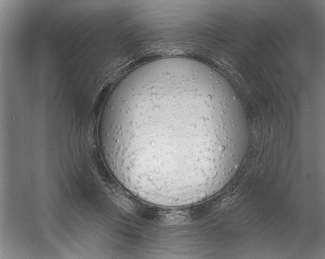 X0000059040359200510070831