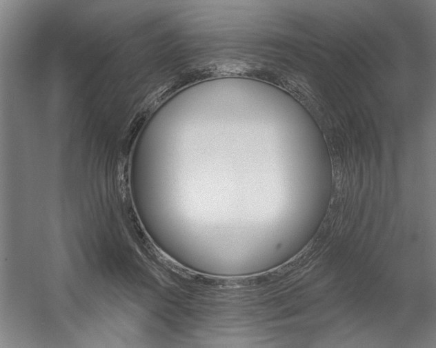X0000059040360200510070831