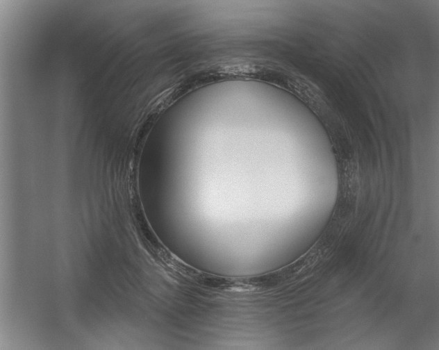X0000059040364200510070831