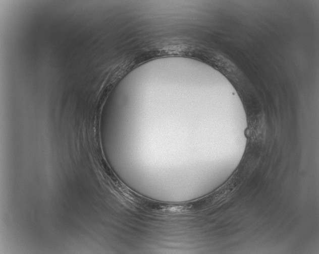 X0000059040365200510070831