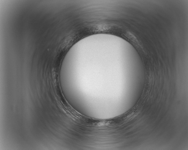X0000059040366200510070831