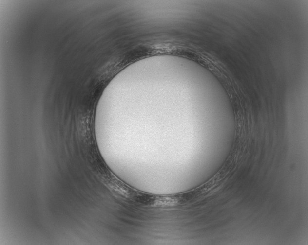 X0000059040369200510070831