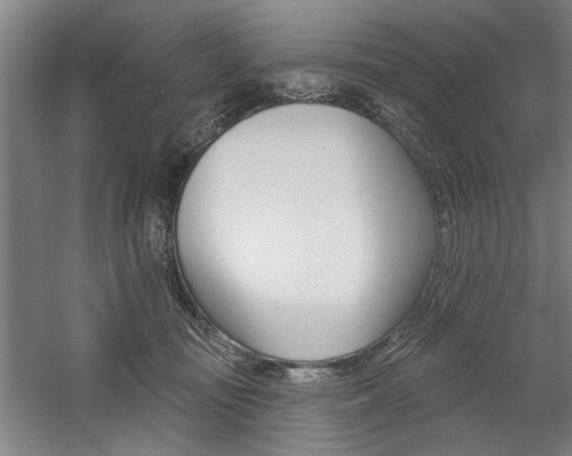 X0000059040371200510070831