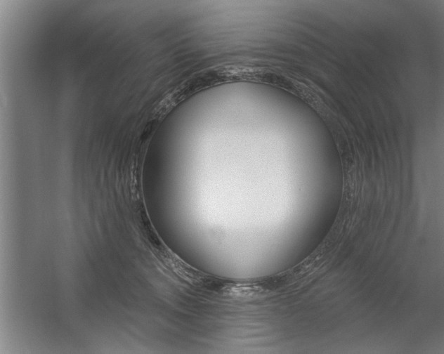 X0000059040372200510070831