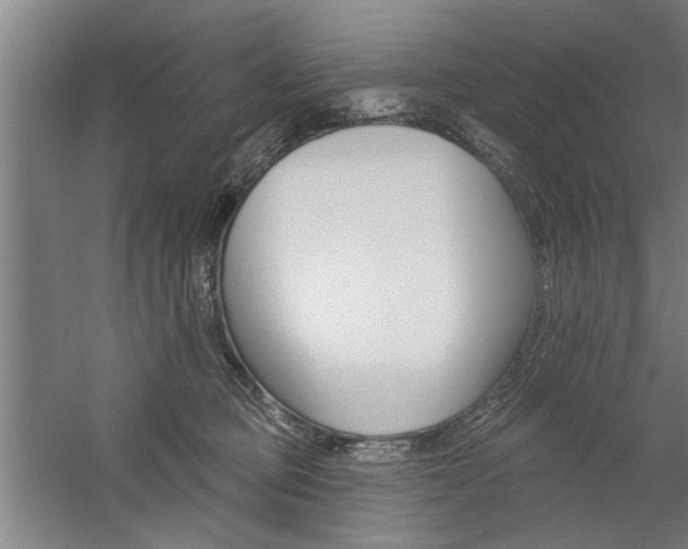 X0000059040373200510070831