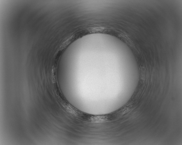 X0000059040378200510070831