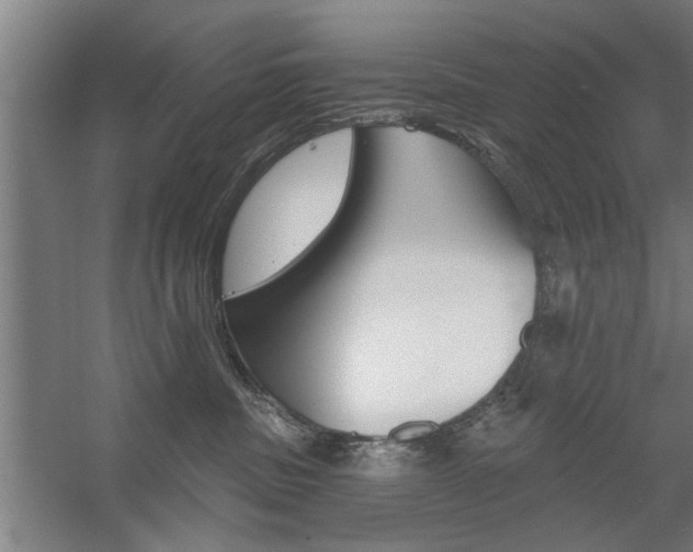 X0000059040379200510070831