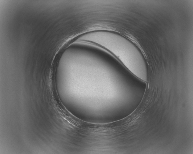 X0000059040387200510070830
