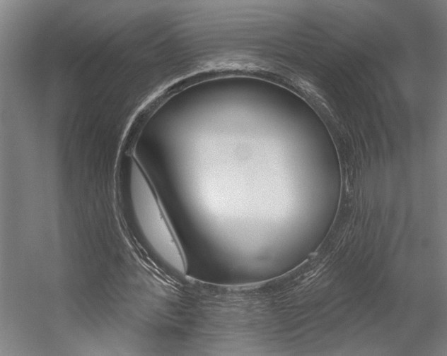 X0000059040388200510070830