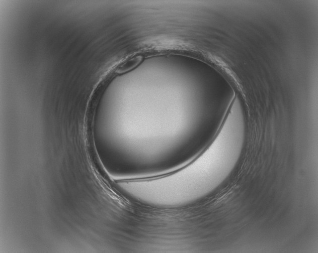 X0000059040391200510070830
