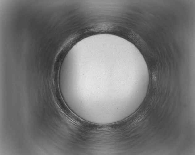 X0000059040396200510070830