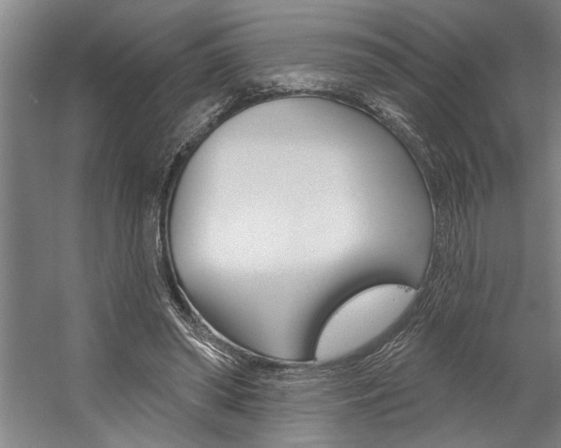 X0000059040398200510070830