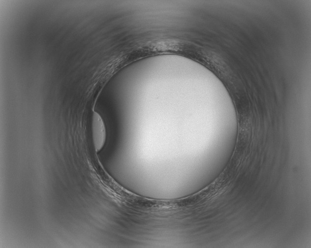 X0000059040402200510070830
