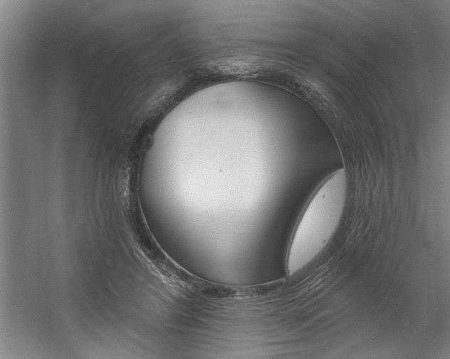 X0000059040404200510070830