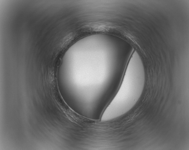X0000059040407200510070830