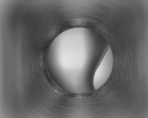 X0000059040416200510070830