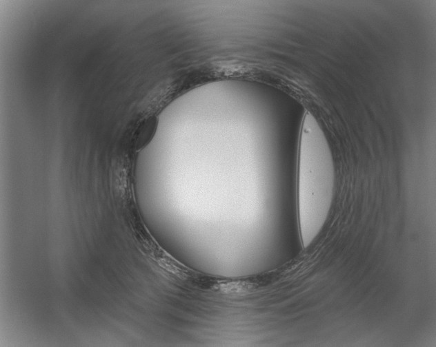 X0000059040417200510070830