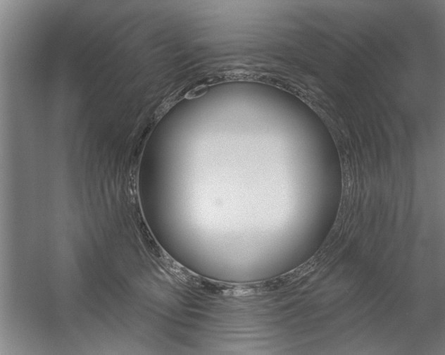 X0000059040419200510070830