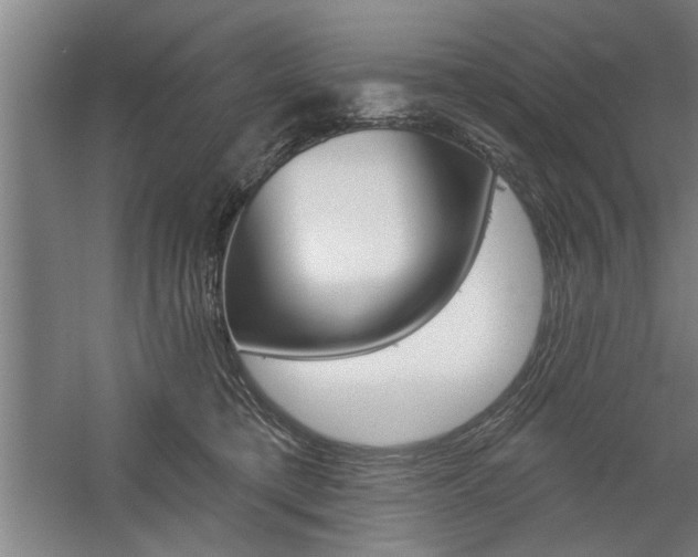 X0000059040421200510070830