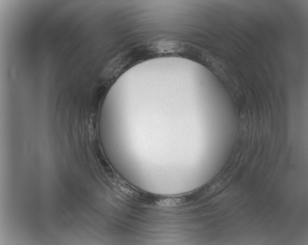 X0000059040422200510070830