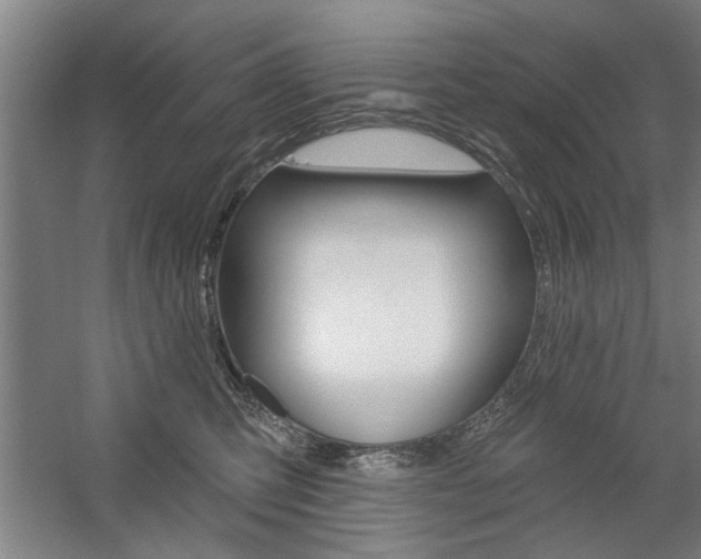 X0000059040423200510070830