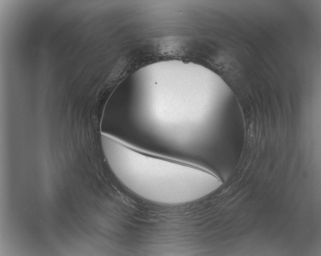 X0000059040424200510070830