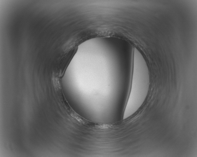 X0000059040432200510070830