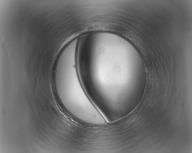 X0000059040434200510070829